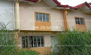 fil4020220823013