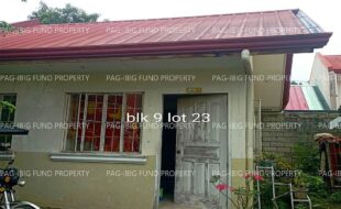 fil4020220823015