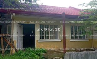 fil4020220823021
