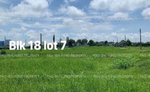 fil4020220831016