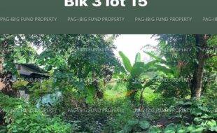 fil4020220921011