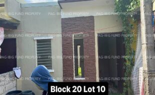 fil4020230311028
