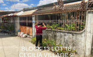 fil4020230329027