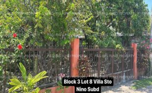 fil4020230404007