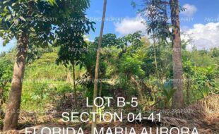 fil4020230405022