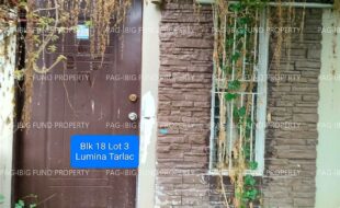 fil4020230714012