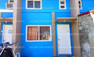 fil4020231116078
