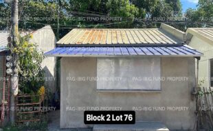 fil4020240108017