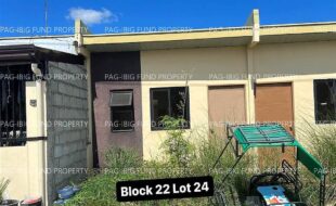 fil4020240115004