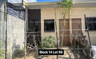 fil4020240115006