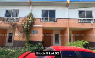 fil4020240115007