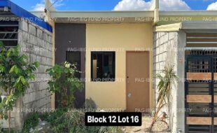 fil4020240115147