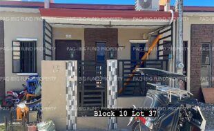 fil4020240228003