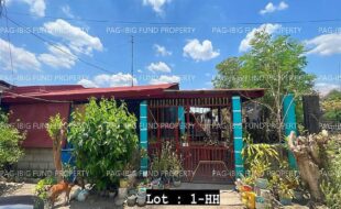 fil4020240510139