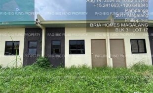 fil4020240815216