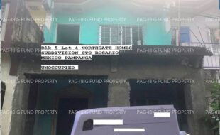 fil4020240925293
