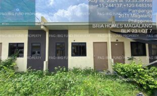 fil4020241011039