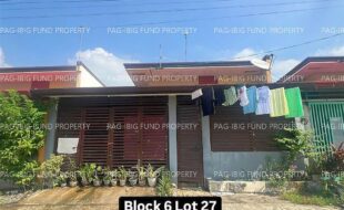 fil4020241118013