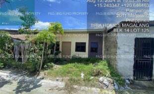fil4020241203008