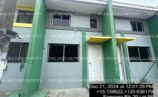 fil4020241223050