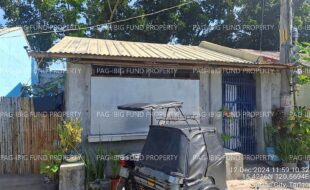 fil4020250106048