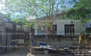 fil4020250106051
