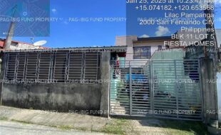 fil4020250127152