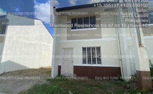 fil4020250307056