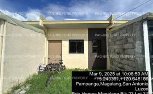 fil4020250311046