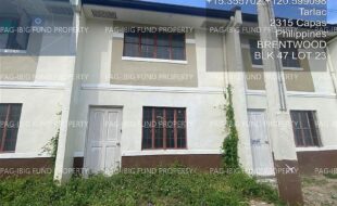fil4020250324260