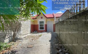 fil4020250407010