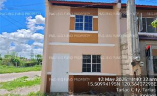 fil4020250519029