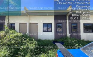 fil4020250519038