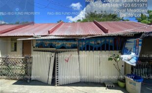 fil4020250519073