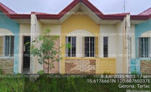 fil4020250609060