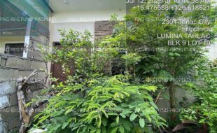 fil4020250715032