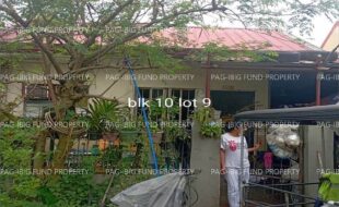 fil4020250719071