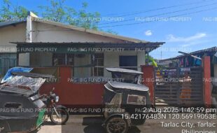 fil4020250805078
