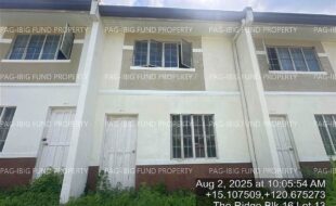 fil4020250806056