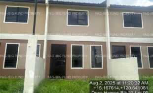 fil4020250806082