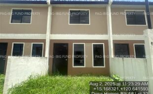 fil4020250806097