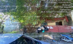 fil4020250812043