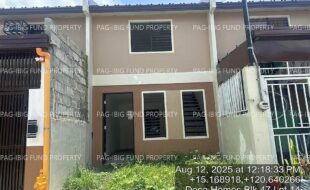 fil4020250813012