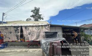 fil4020250822041
