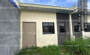 fil4020250904036