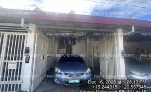 fil4020251217081
