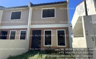 fil4020260119078
