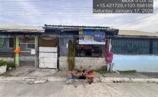 fil4020260119085