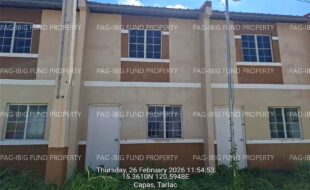 fil4020260227116