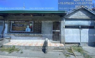fil4020260414115